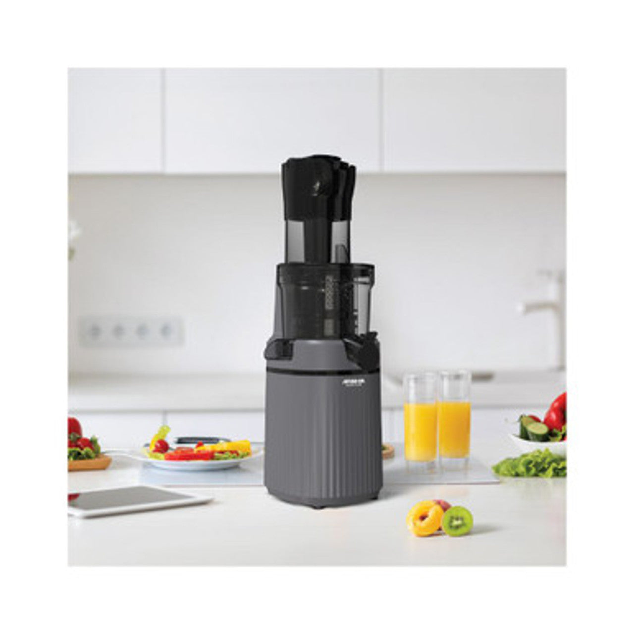 Arshia Slow Juicer Gray