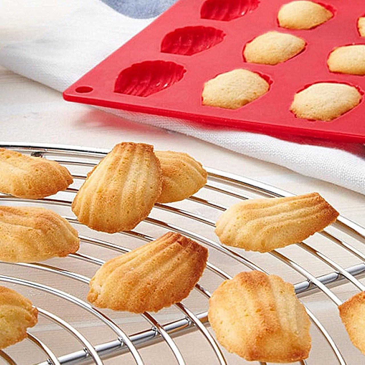 Panthem Silicone Madeleines Mold