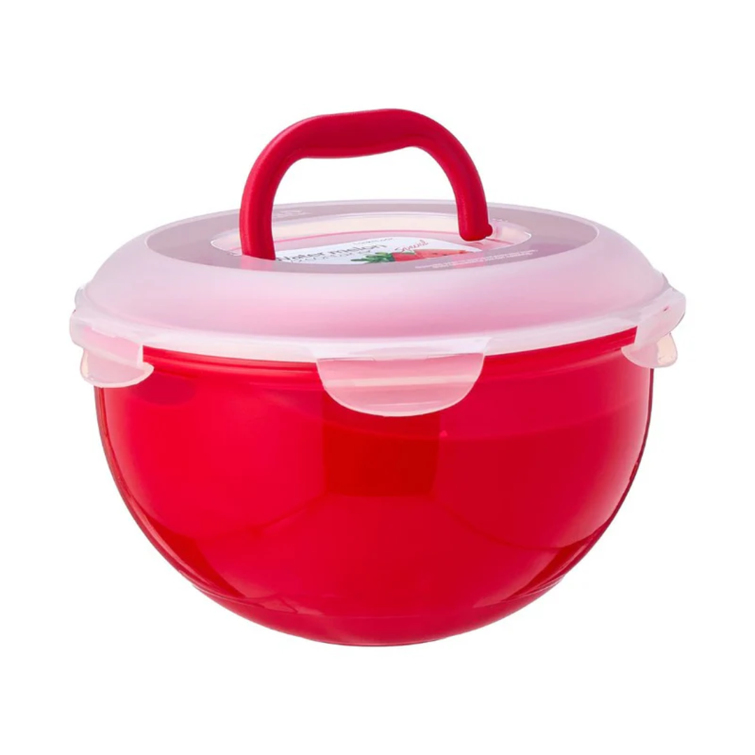 Lock & Lock 8L Clear Plastic Food Container with Lid Water Melon