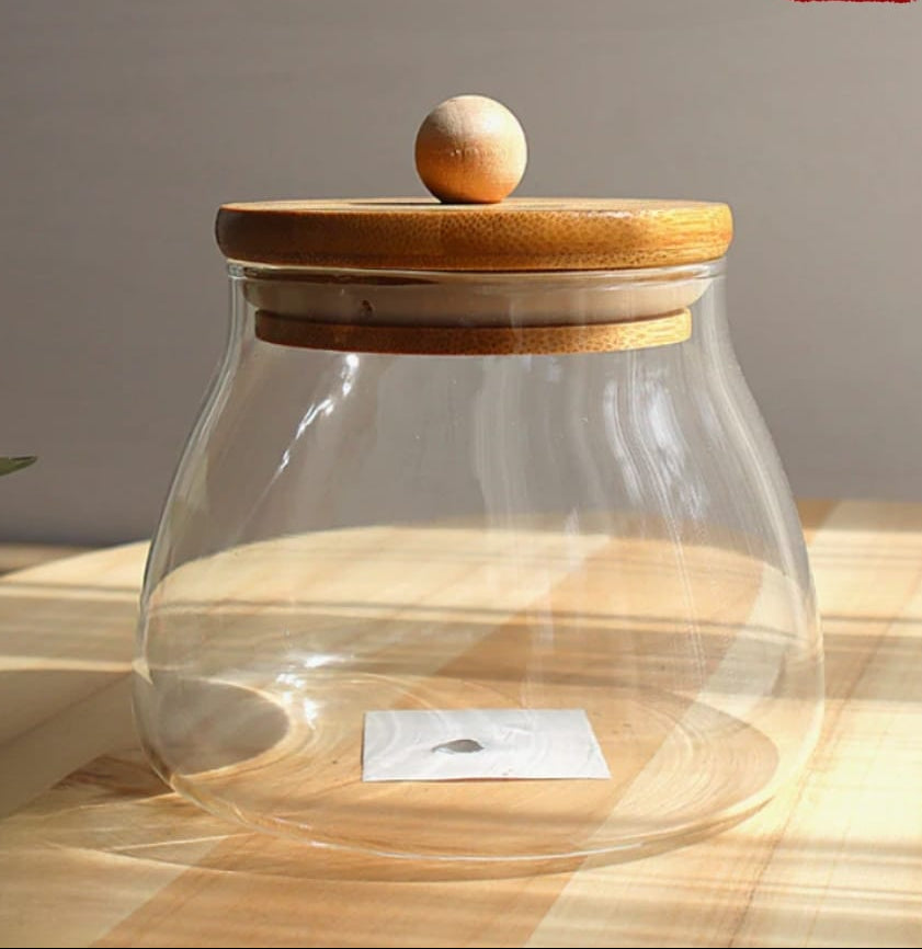 Pyrex Glass Storage Jar with Bamboo Lid – Sold Individually